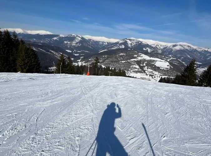 Apartmán Líštička Apartamento Mýto pod Ďumbierom